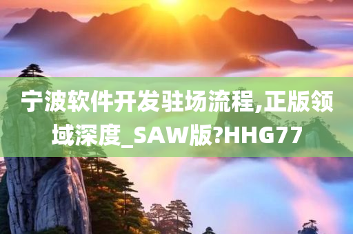 宁波软件开发驻场流程,正版领域深度_SAW版?HHG77