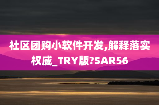 社区团购小软件开发,解释落实权威_TRY版?SAR56