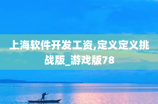 上海软件开发工资,定义定义挑战版_游戏版78