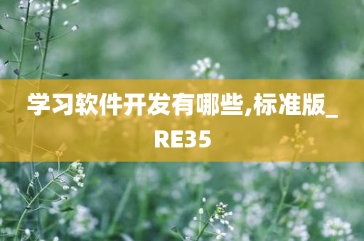 学习软件开发有哪些,标准版_RE35