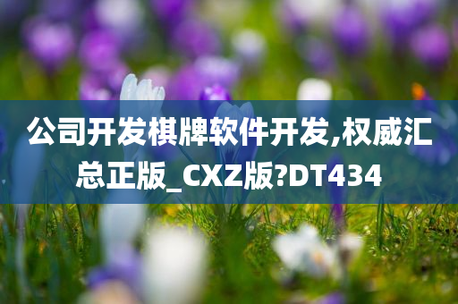 公司开发棋牌软件开发,权威汇总正版_CXZ版?DT434