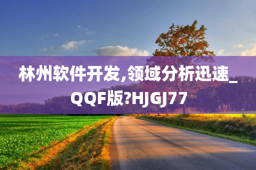 林州软件开发,领域分析迅速_QQF版?HJGJ77