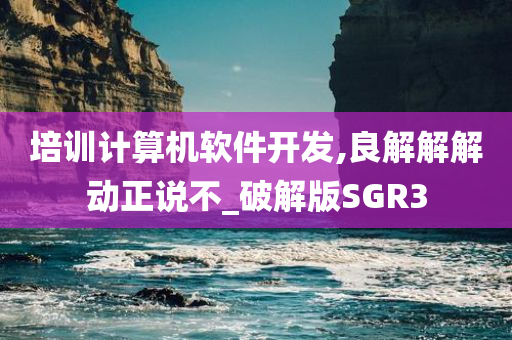 培训计算机软件开发,良解解解动正说不_破解版SGR3