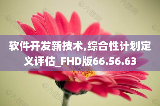 软件开发新技术,综合性计划定义评估_FHD版66.56.63