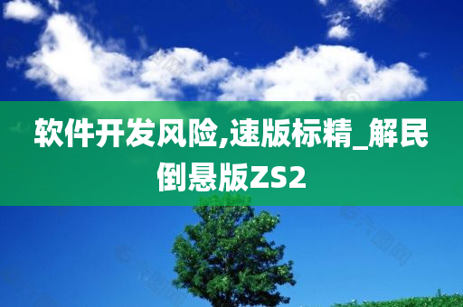 软件开发风险,速版标精_解民倒悬版ZS2