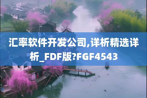 汇率软件开发公司,详析精选详析_FDF版?FGF4543