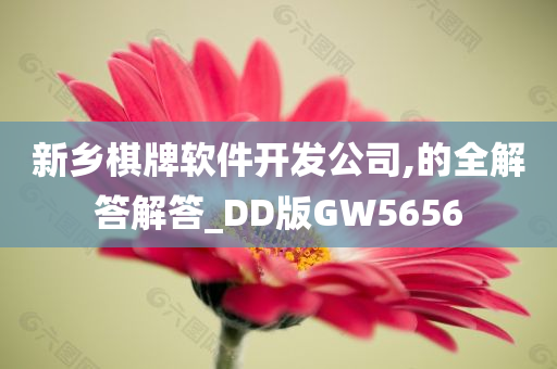 新乡棋牌软件开发公司,的全解答解答_DD版GW5656