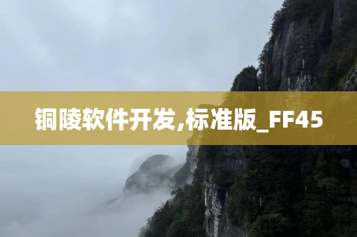 铜陵软件开发,标准版_FF45