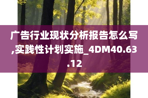 广告行业现状分析报告怎么写,实践性计划实施_4DM40.63.12