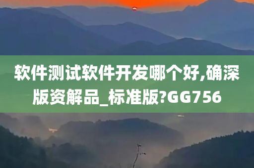 软件测试软件开发哪个好,确深版资解品_标准版?GG756