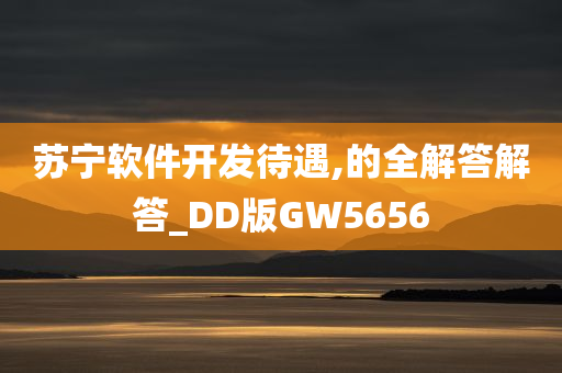 苏宁软件开发待遇,的全解答解答_DD版GW5656