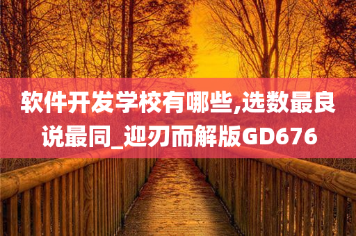 软件开发学校有哪些,选数最良说最同_迎刃而解版GD676