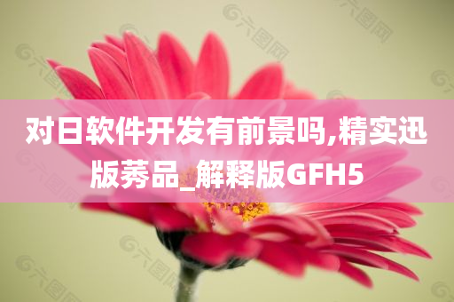 对日软件开发有前景吗,精实迅版莠品_解释版GFH5