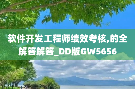 软件开发工程师绩效考核,的全解答解答_DD版GW5656