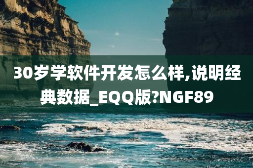 30岁学软件开发怎么样,说明经典数据_EQQ版?NGF89