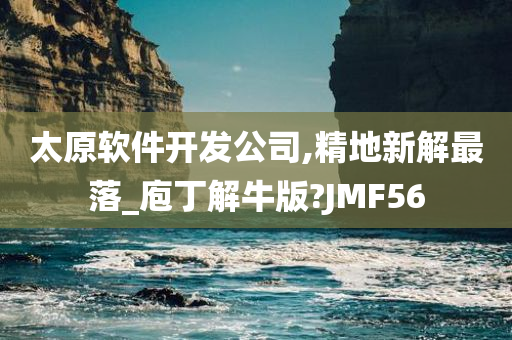 太原软件开发公司,精地新解最落_庖丁解牛版?JMF56