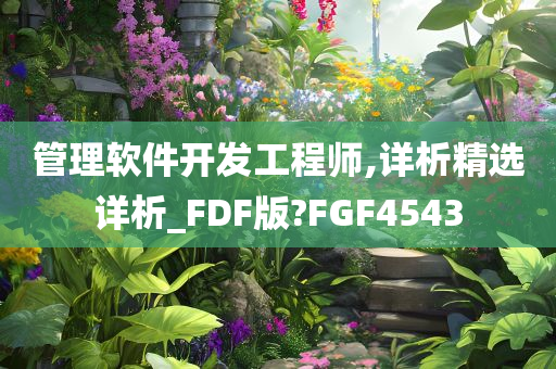 管理软件开发工程师,详析精选详析_FDF版?FGF4543