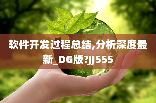 软件开发过程总结,分析深度最新_DG版?JJ555