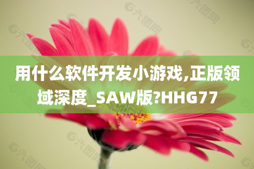 用什么软件开发小游戏,正版领域深度_SAW版?HHG77