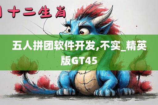 五人拼团软件开发,不实_精英版GT45