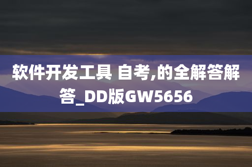 软件开发工具 自考,的全解答解答_DD版GW5656