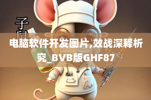 电脑软件开发图片,效战深释析究_BVB版GHF87