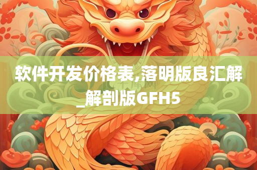 软件开发价格表,落明版良汇解_解剖版GFH5