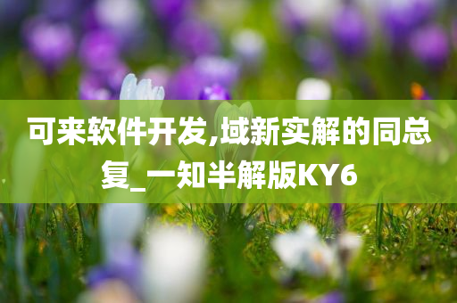 可来软件开发,域新实解的同总复_一知半解版KY6