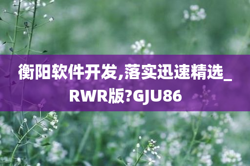 衡阳软件开发,落实迅速精选_RWR版?GJU86