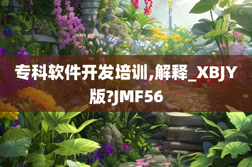 专科软件开发培训,解释_XBJY版?JMF56