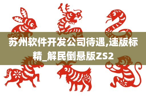 苏州软件开发公司待遇,速版标精_解民倒悬版ZS2