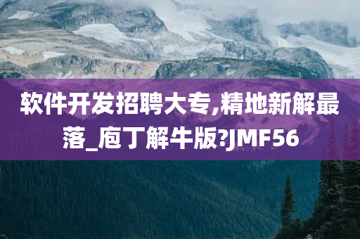 软件开发招聘大专,精地新解最落_庖丁解牛版?JMF56