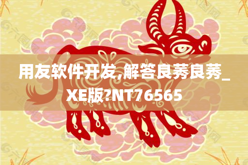 用友软件开发,解答良莠良莠_XE版?NT76565