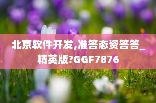 北京软件开发,准答态资答答_精英版?GGF7876