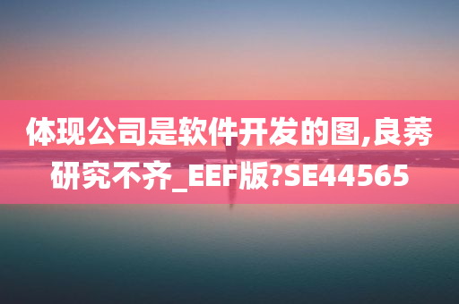 体现公司是软件开发的图,良莠研究不齐_EEF版?SE44565