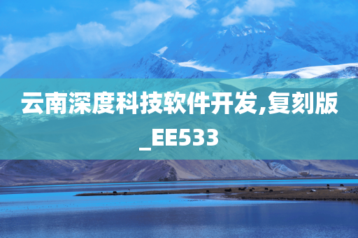 云南深度科技软件开发,复刻版_EE533