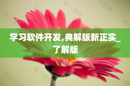 学习软件开发,典解版新正实_了解版