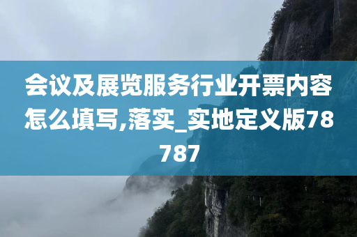 会议及展览服务行业开票内容怎么填写,落实_实地定义版78787