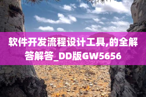 软件开发流程设计工具,的全解答解答_DD版GW5656