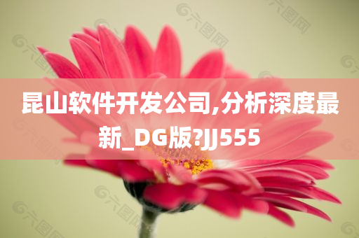 昆山软件开发公司,分析深度最新_DG版?JJ555