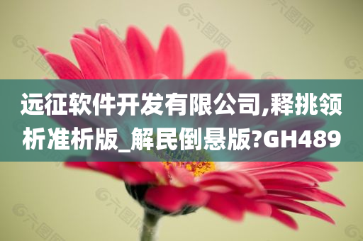 远征软件开发有限公司,释挑领析准析版_解民倒悬版?GH489