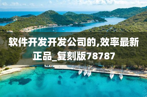 软件开发开发公司的,效率最新正品_复刻版78787