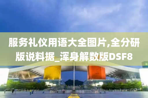 服务礼仪用语大全图片,全分研版说料据_浑身解数版DSF8