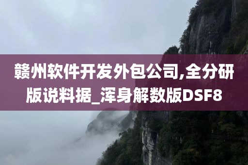 赣州软件开发外包公司,全分研版说料据_浑身解数版DSF8