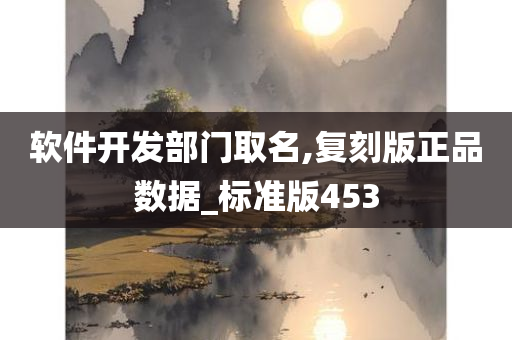 软件开发部门取名,复刻版正品数据_标准版453