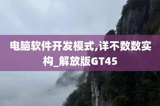 电脑软件开发模式,详不数数实构_解放版GT45