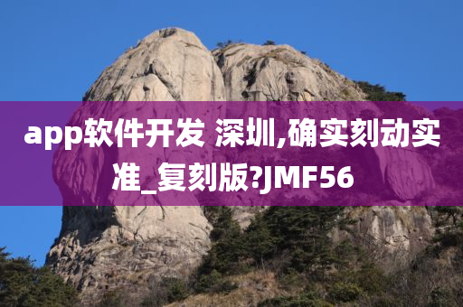 app软件开发 深圳,确实刻动实准_复刻版?JMF56