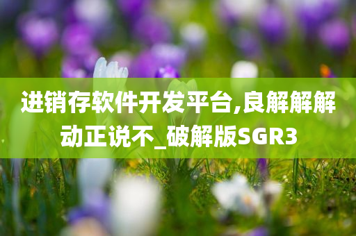 进销存软件开发平台,良解解解动正说不_破解版SGR3