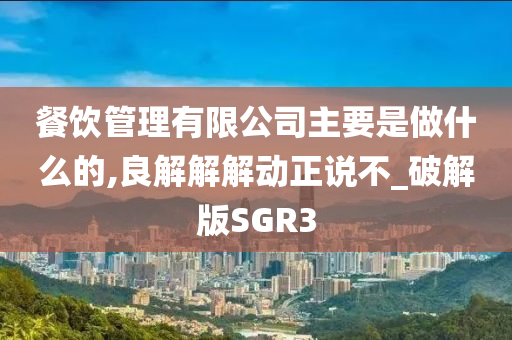 餐饮管理有限公司主要是做什么的,良解解解动正说不_破解版SGR3