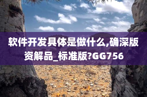 软件开发具体是做什么,确深版资解品_标准版?GG756